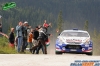 Bolgr WRC-2