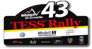 TESS Rally 2014